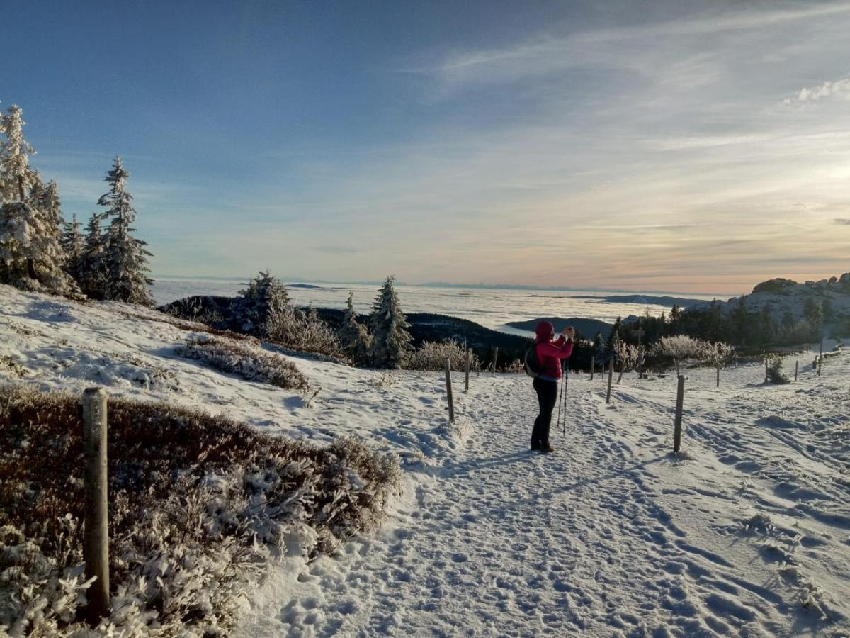 Hotel Zur Waldbahn ซวีเซิล ภายนอก รูปภาพ