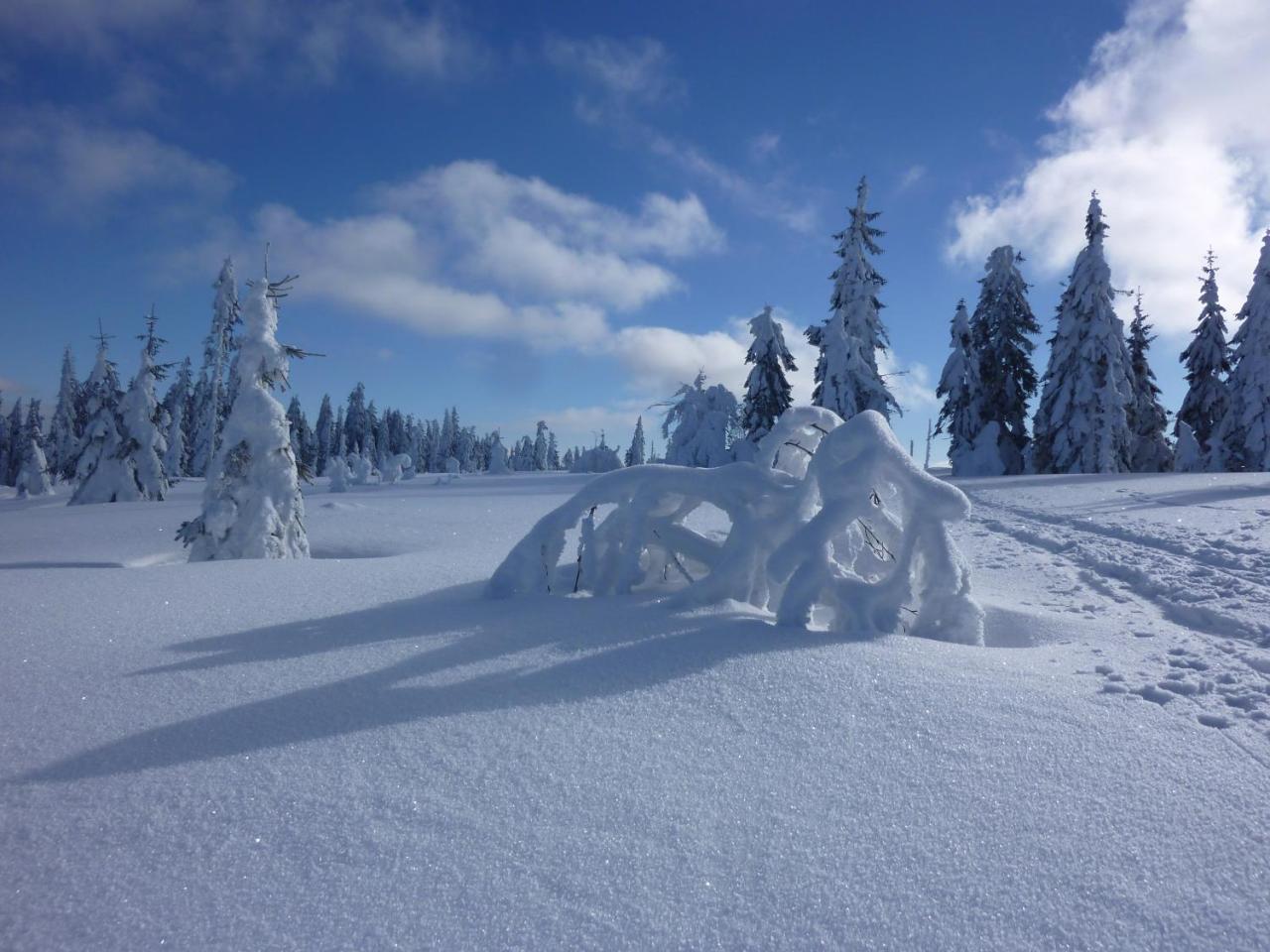 Hotel Zur Waldbahn ซวีเซิล ภายนอก รูปภาพ