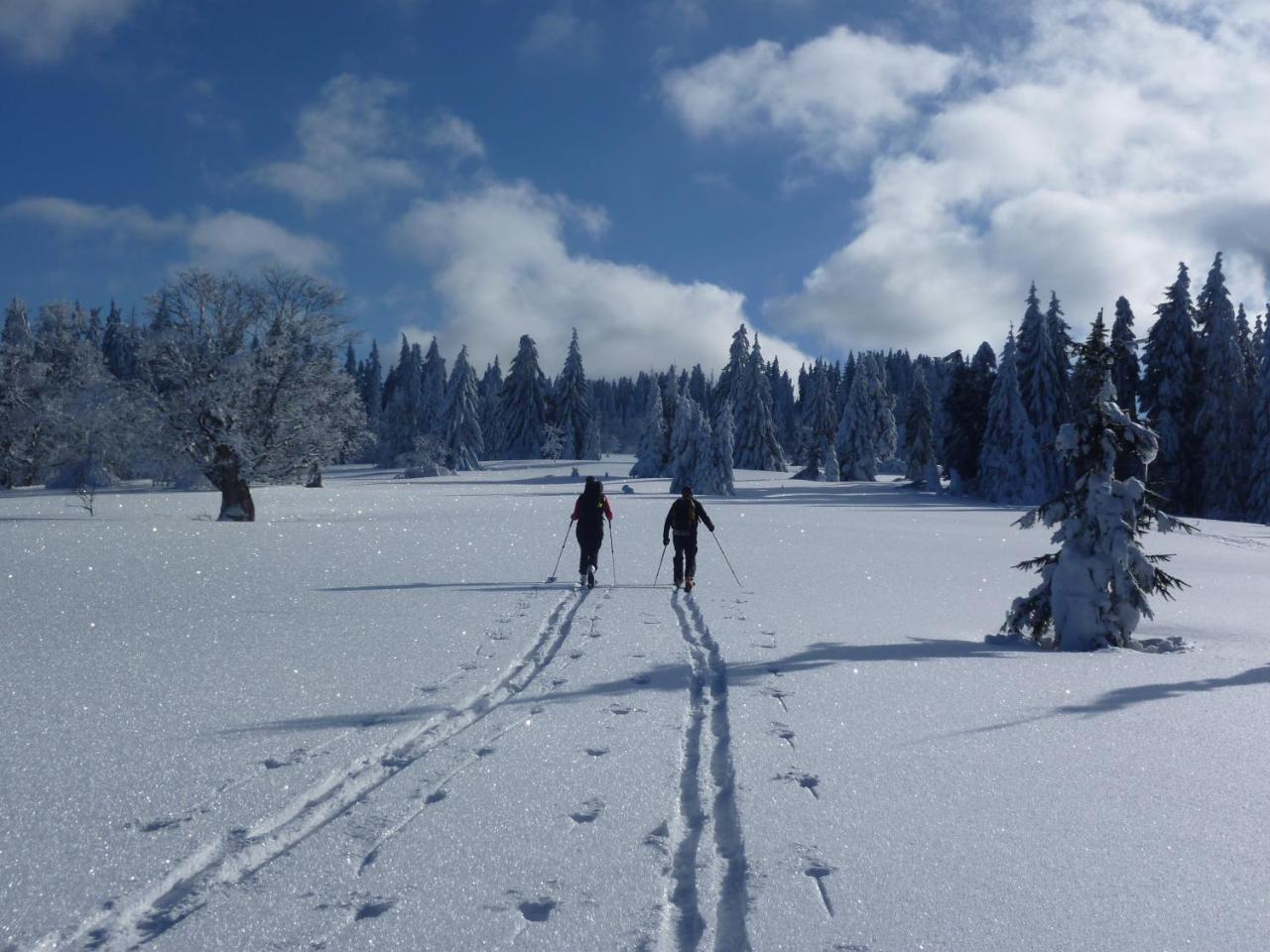 Hotel Zur Waldbahn ซวีเซิล ภายนอก รูปภาพ