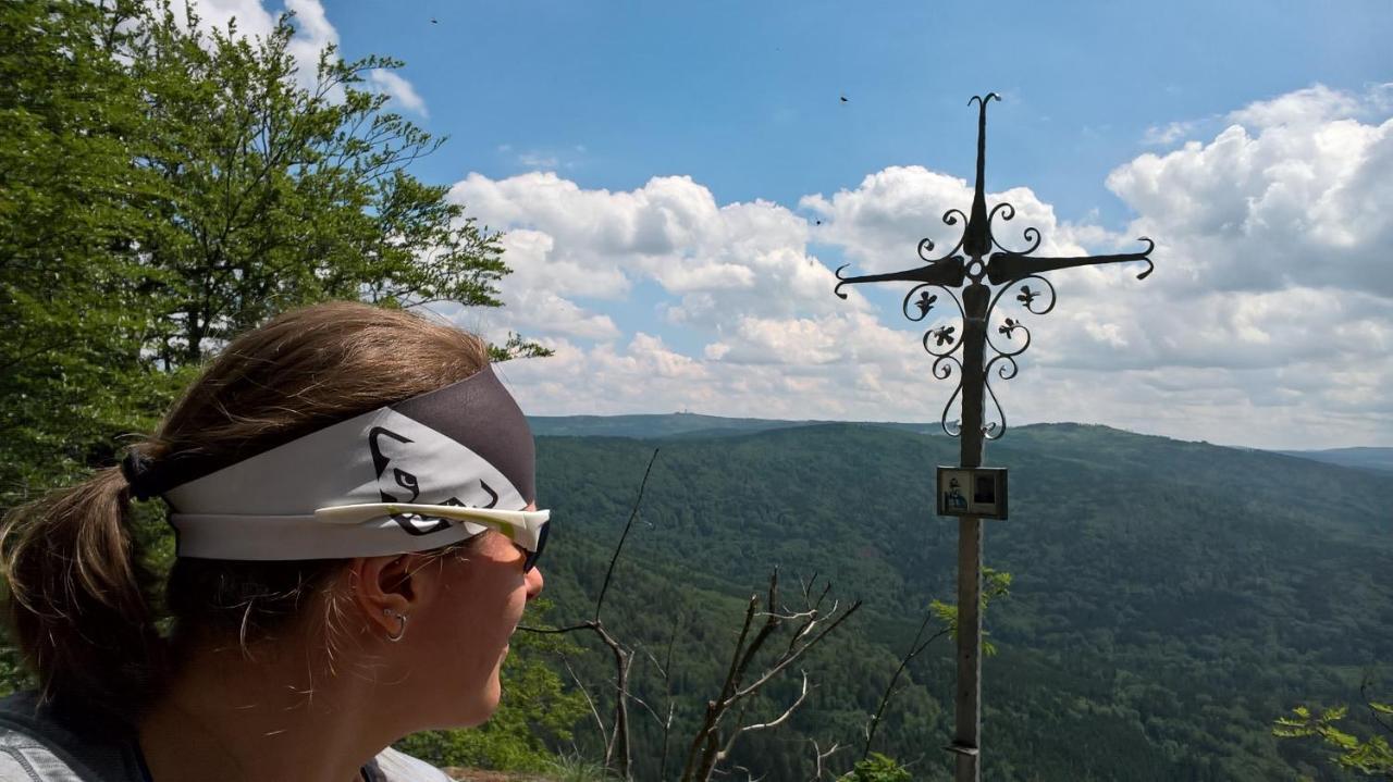 Hotel Zur Waldbahn ซวีเซิล ภายนอก รูปภาพ